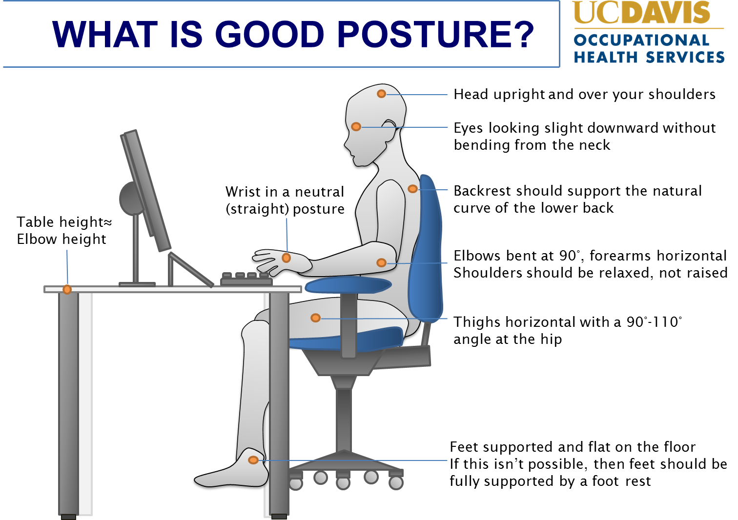 http://www.ucop.edu/risk-services/_images/ergo/correct-posture-p.png