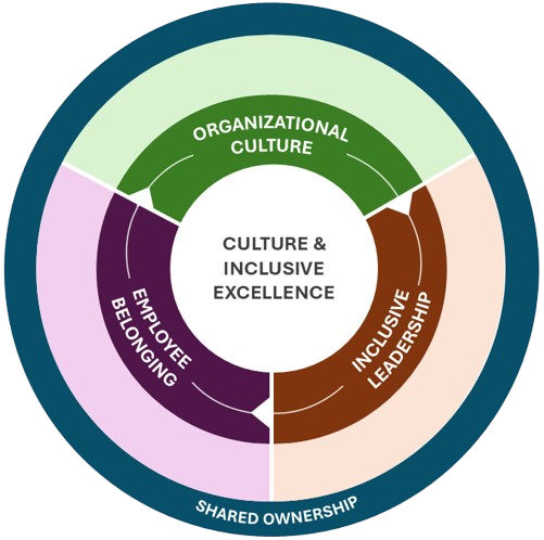 An image outlining the Office of Culture and Inclusive excellence Framework.