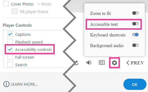 The other toggles potentially available in the settings menu are zoom to fit, keyboard shortcuts and background audio