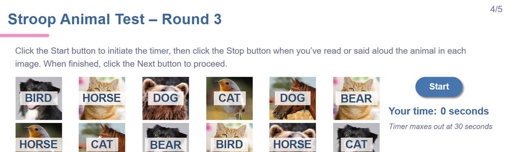 In the Stroop Animals version, animal images are paired with incongruent labels, like a bird image having a 'dog' label atop it