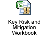 Key Risk and Mitigation Workbook (XLS)