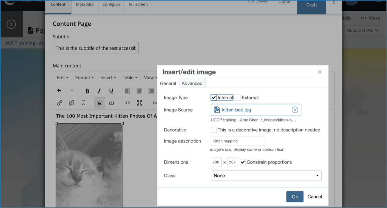 Image descriptions in Cascade