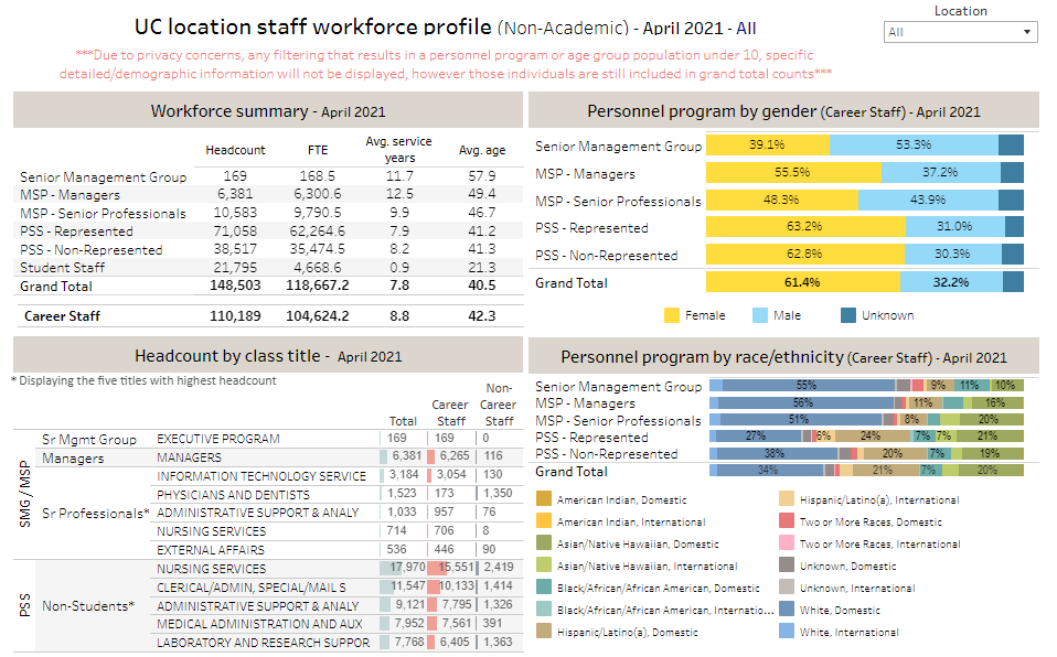 screenshot of 2020 workforce profile dashboard