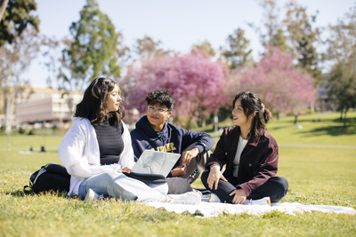 Students sitting on the grass