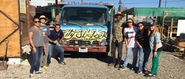 UCOP volunteers go farming and learning at City Slicker farm