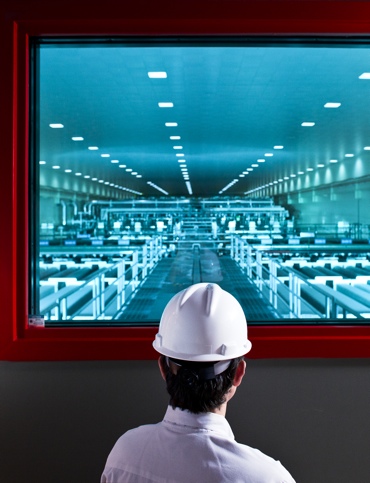 researcher in hard hat looking through window