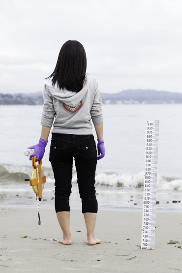 researcher on the beach