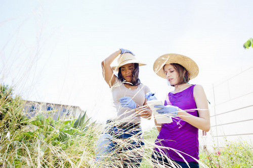 two female researchers