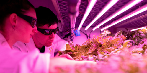 Scientists studying plant life in a lab