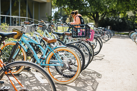 Campus bikes