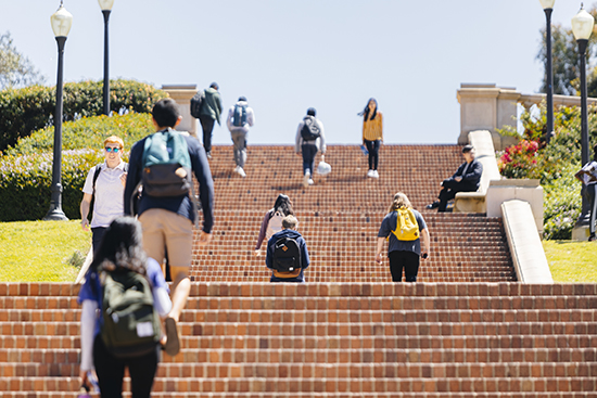 Campus stairs