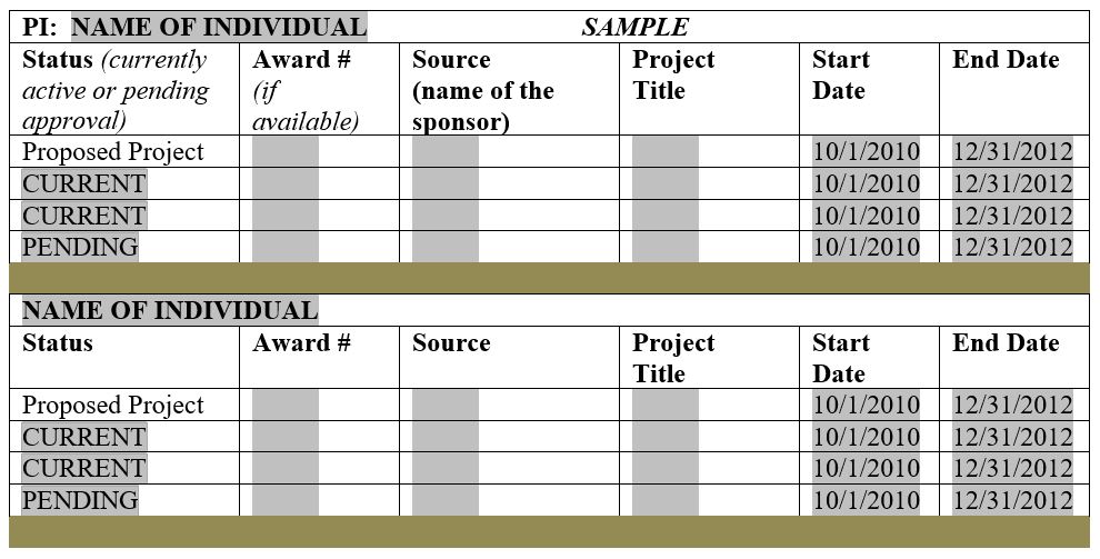 Screenshot displaying the layout of the Current and Pending Support section in A6 of the California Model Agreement