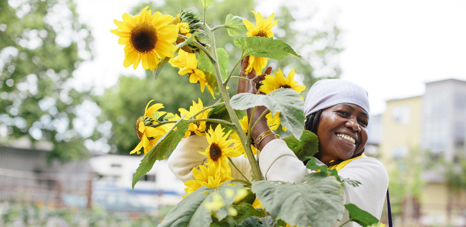 Smiling woman holding sunflowers